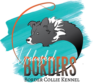 Unleashed Borders Border Collie Kennel